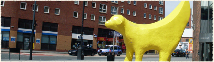 Super Lamb Banana Liverpool